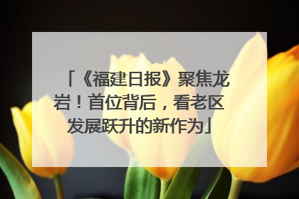 《福建日报》聚焦龙岩！首位背后，看老区发展跃升的新作为