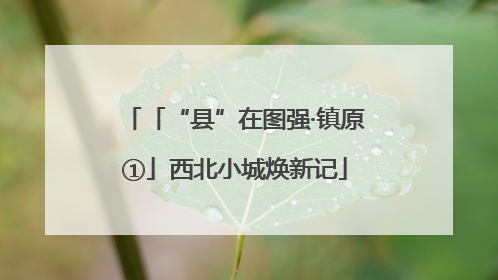 「“县”在图强·镇原①」西北小城焕新记