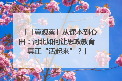 「冀观察」从课本到心田：河北如何让思政教育真正“活起来”？