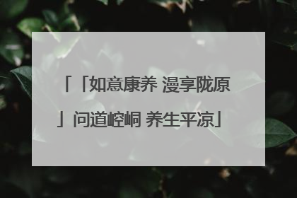 「如意康养 漫享陇原」问道崆峒 养生平凉