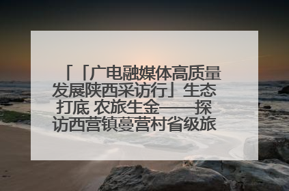 「广电融媒体高质量发展陕西采访行」生态打底 农旅生金——探访西营镇蔓营村省级旅游示范村的振兴密码