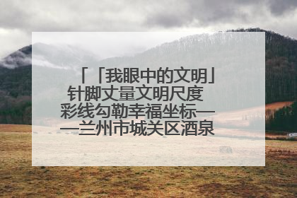 「我眼中的文明」针脚丈量文明尺度 彩线勾勒幸福坐标——兰州市城关区酒泉路街道办事处