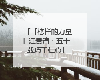 「榜样的力量」汪贵清：五十载巧手仁心