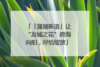 「蒲湖新语」让“友城之花”跨海向阳，尽情绽放