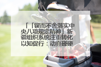 「锲而不舍落实中央八项规定精神」新疆组织系统注重转化以知促行：动真碰硬抓好整改整治