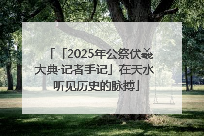 「2025年公祭伏羲大典·记者手记」在天水 听见历史的脉搏