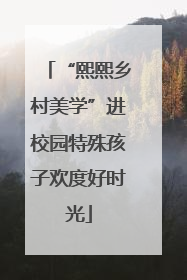 “熙熙乡村美学”进校园特殊孩子欢度好时光