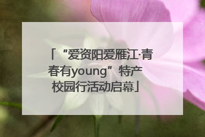 “爱资阳爱雁江·青春有young”特产校园行活动启幕