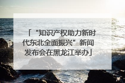“知识产权助力新时代东北全面振兴”新闻发布会在黑龙江举办