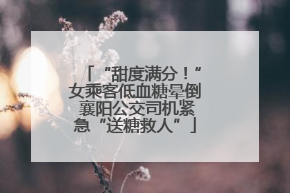 “甜度满分！”女乘客低血糖晕倒 襄阳公交司机紧急“送糖救人”