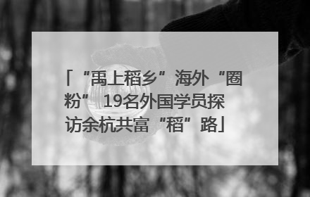 “禹上稻乡”海外“圈粉” 19名外国学员探访余杭共富“稻”路