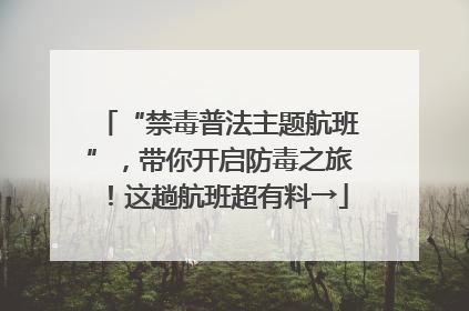 “禁毒普法主题航班”，带你开启防毒之旅！这趟航班超有料→