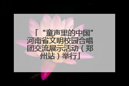 “童声里的中国”河南省文明校园合唱团交流展示活动（郑州站）举行