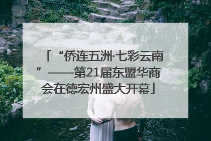 “侨连五洲·七彩云南”——第21届东盟华商会在德宏州盛大开幕