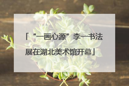 “一画心源”李一书法展在湖北美术馆开幕
