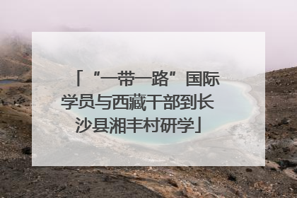 “一带一路”国际学员与西藏干部到长沙县湘丰村研学