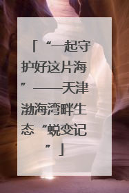 “一起守护好这片海”——天津渤海湾畔生态“蜕变记”