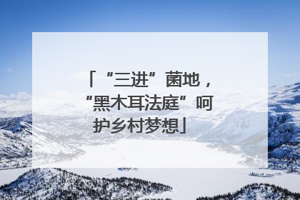 “三进”菌地，“黑木耳法庭”呵护乡村梦想