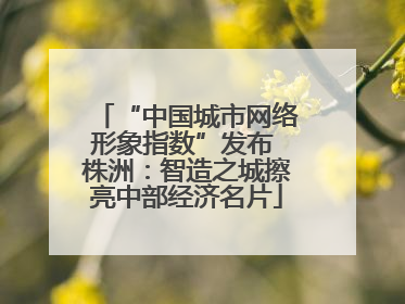 “中国城市网络形象指数”发布 株洲：智造之城擦亮中部经济名片