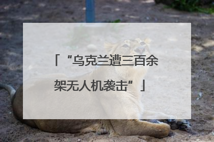 “乌克兰遭三百余架无人机袭击”
