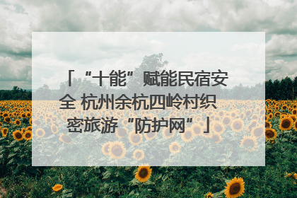 “十能”赋能民宿安全 杭州余杭四岭村织密旅游“防护网”