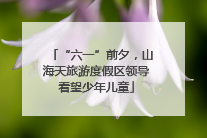 “六一”前夕，山海天旅游度假区领导看望少年儿童