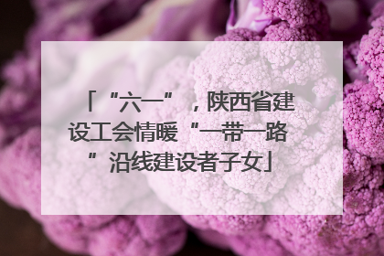 “六一”，陕西省建设工会情暖“一带一路”沿线建设者子女