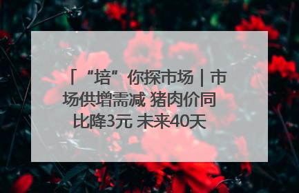 “培”你探市场｜市场供增需减 猪肉价同比降3元 未来40天便宜猪肉敞开吃