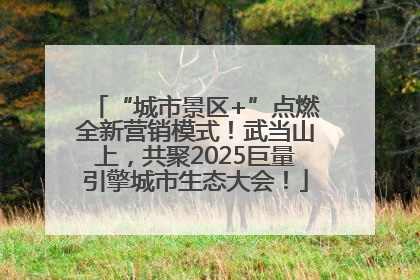 “城市景区+”点燃全新营销模式！武当山上，共聚2025巨量引擎城市生态大会！
