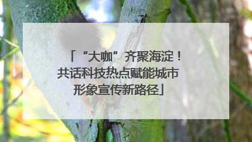 “大咖”齐聚海淀！共话科技热点赋能城市形象宣传新路径