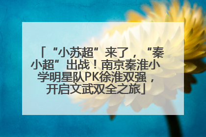 “小苏超”来了，“秦小超”出战！南京秦淮小学明星队PK徐淮双强，开启文武双全之旅