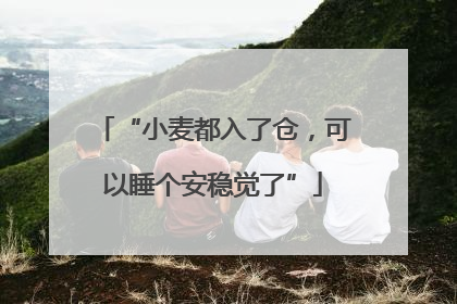 “小麦都入了仓，可以睡个安稳觉了”