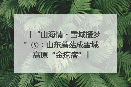 “山海情・雪域援梦”⑤：山东蘑菇成雪域高原“金疙瘩”
