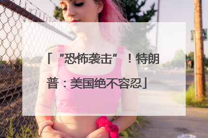 “恐怖袭击”！特朗普：美国绝不容忍