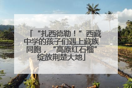 “扎西德勒！”西藏中学的孩子们遇上藏族同胞，“高原红石榴”绽放荆楚大地