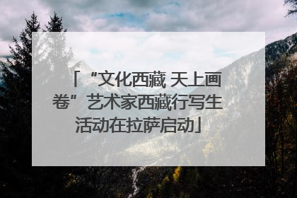 “文化西藏 天上画卷”艺术家西藏行写生活动在拉萨启动