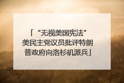 “无视美国宪法” 美民主党议员批评特朗普政府向洛杉矶派兵