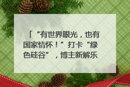 “有世界眼光，也有国家情怀！”打卡“绿色硅谷”，博主新解乐山｜网络名人四川行