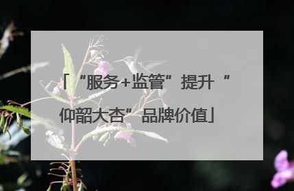 “服务+监管”提升“仰韶大杏”品牌价值