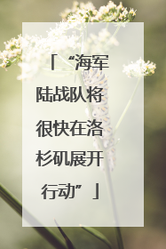 “海军陆战队将很快在洛杉矶展开行动”