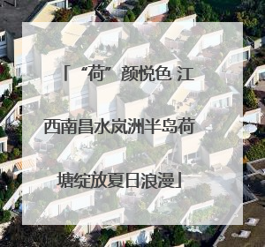 “荷”颜悦色 江西南昌水岚洲半岛荷塘绽放夏日浪漫