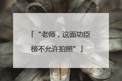 “老师，这面功臣榜不允许拍照”
