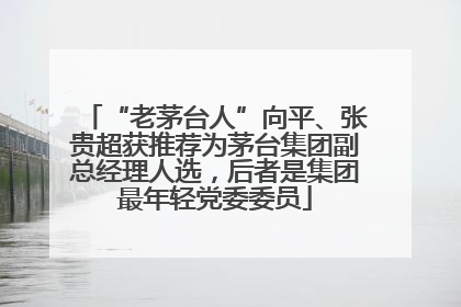 “老茅台人”向平、张贵超获推荐为茅台集团副总经理人选，后者是集团最年轻党委委员