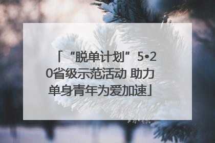 “脱单计划”5•20省级示范活动 助力单身青年为爱加速