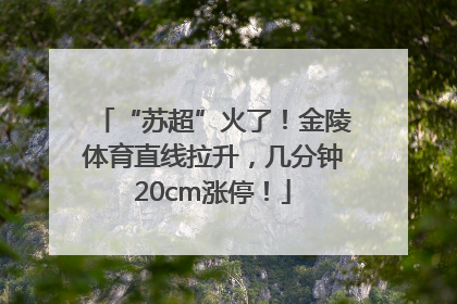 “苏超”火了！金陵体育直线拉升，几分钟20cm涨停！