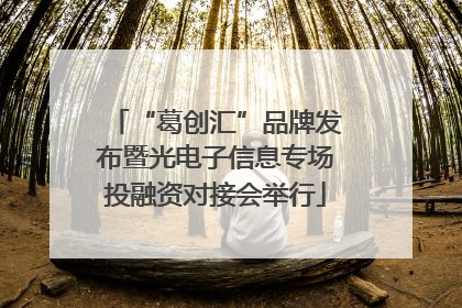 “葛创汇”品牌发布暨光电子信息专场投融资对接会举行