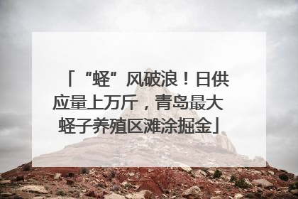 “蛏”风破浪！日供应量上万斤，青岛最大蛏子养殖区滩涂掘金