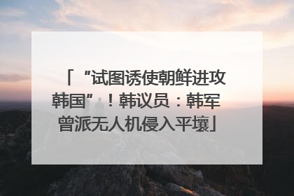 “试图诱使朝鲜进攻韩国”！韩议员：韩军曾派无人机侵入平壤