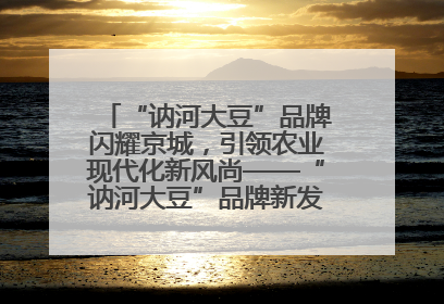 “讷河大豆”品牌闪耀京城，引领农业现代化新风尚——“讷河大豆”品牌新发地推介会圆满落幕