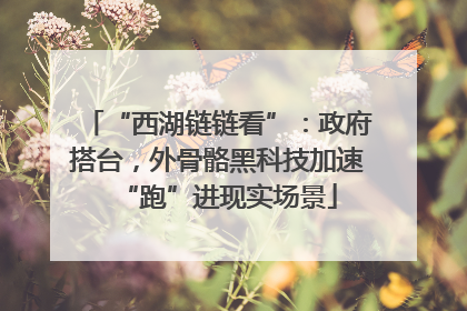“西湖链链看”：政府搭台，外骨骼黑科技加速“跑”进现实场景